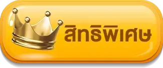 สิทธิพิเศษ